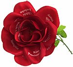 Fleur D�Amour
